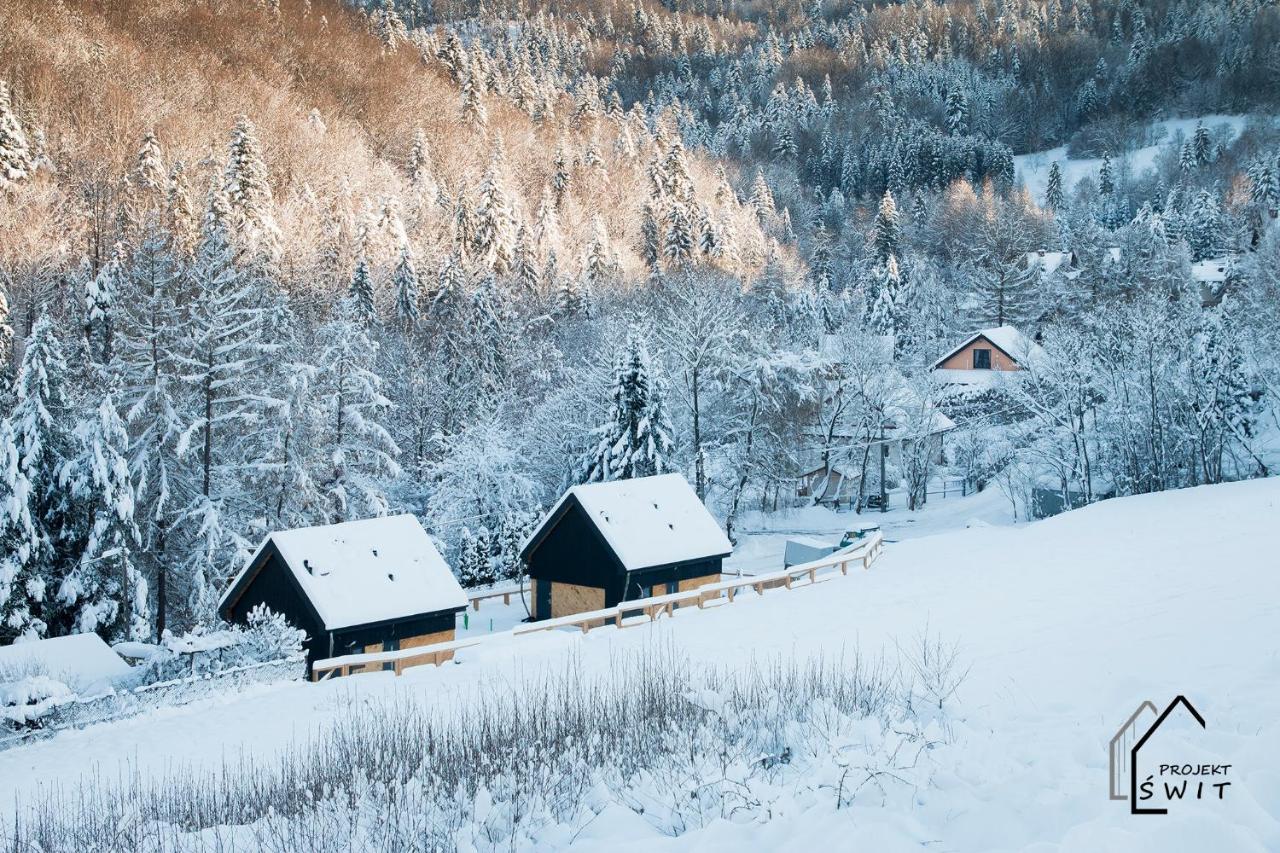 Projekt Swit - Domki Z Prywatna Jacuzzi I Sauna Żywiec Esterno foto