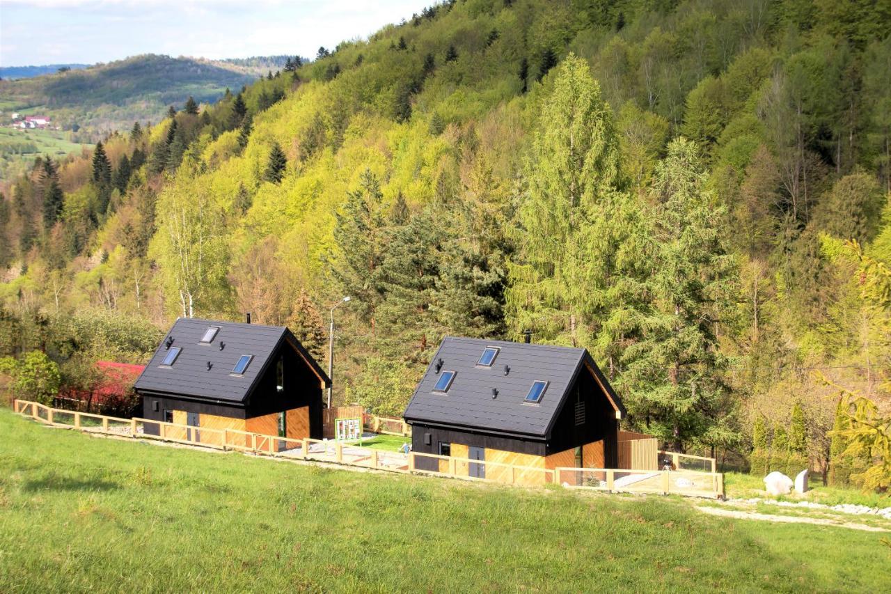 Projekt Swit - Domki Z Prywatna Jacuzzi I Sauna Żywiec Esterno foto